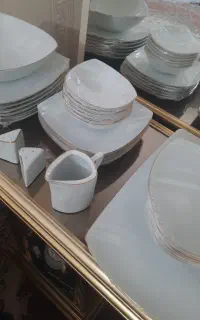 ظروف پردیس