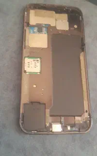 معاوضه با کبوتر