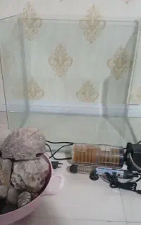 اکواریوم شیشه خم شرکتی