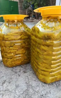 فروش ترشی بیلهر محلی