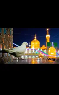 تور مشهد 5روزه