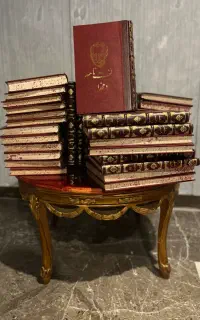 لغت نامه ۵۰ جلدی چرم نو