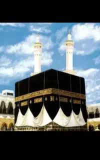حج واجب