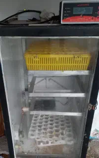 دستگاه جوجه کشی فروشی