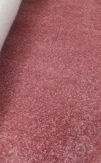 موکت پالاز