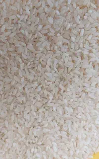 برنج کامفیروزی درجه یک