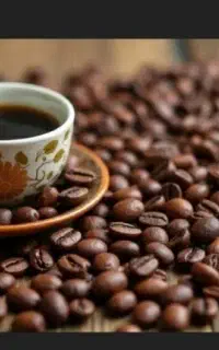 فروش قهوه عمده و کیلویی