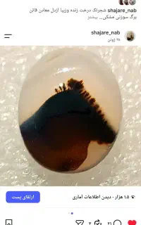 سنگ شجرمصور