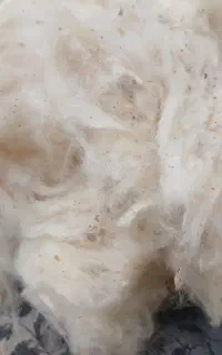 الیاف پنبه ایی