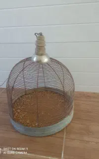 قفس