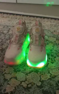 کفش چرخ دار