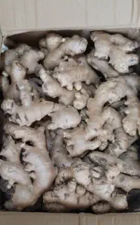 زنجبیل تایلندی سوپر بار