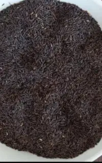 بالنگو یاتخم شربتی