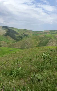 سر کارگر هستم