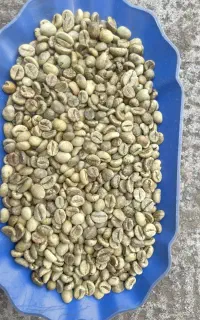 قهوه خام