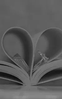 عکاسی وفیلمبرداری عروسی و فرمالیته ومراسمات شما