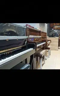 فروش ویژه پیانو (شرایطی از دم قسط بدون پیش پرداخت)