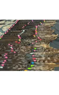 کوتاهی موهای طبیعی