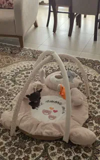 تشک بازی