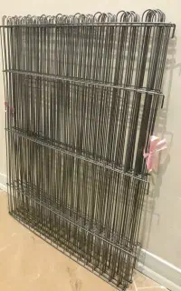 پارک سگ خرگوش گربه