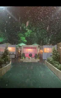 نیروی کارخانم