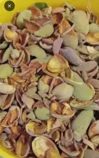 پوست بادام