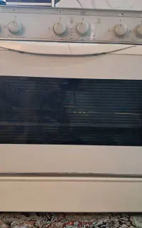 گاز پادیسان فر دار همراه با جوجه گردان