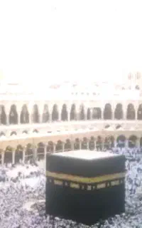 ۲ عدد فیش حج عمره