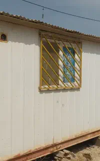 کانکس
