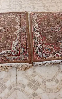 پادری زمینه گردویی