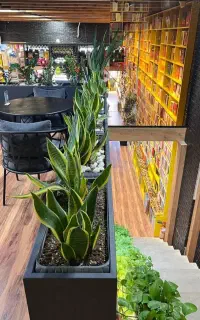 گل و گیاه،گل کاری،تعویض خاک،نگهداری دوره ای،درمان