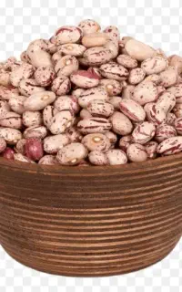 لوبیاچیتی پا کوتاه