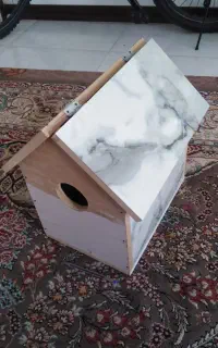 لانه پرنده ، عروس هلندی ، گرینچیک ، برزیلی