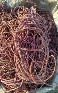 خرید گونی جانبو ۲۰ لیتری نخ پرس