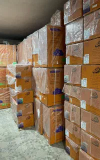 فروش کولرگازی شکار وگلدو ایوولی اصلی۱۲و۱۸ و۲۴ و ۳۰