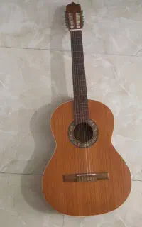 گیتار پارسی مدل M5