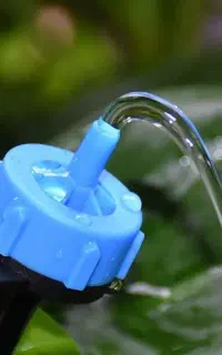 نصب و سرویس آبیاری قطره ای