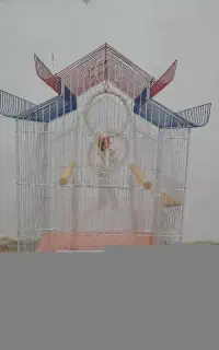 قفس