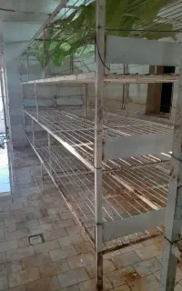 قفسه