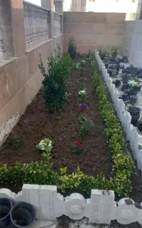 خدمات باغبانی هرسکاری بیلزنی  کودهی سمپاشی ابیاری