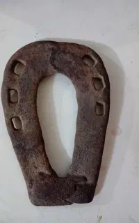 نعل اسب