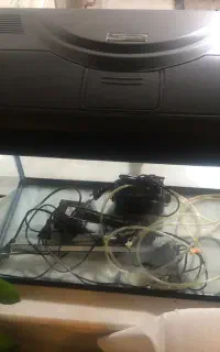 اکواریوم شیشه خم دلسا