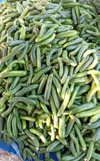 خیار محلی