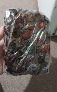 خرمابرحی درجه ۱