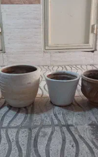 گلدان