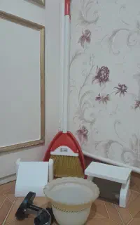 جارووخاک انداز