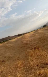 کاه گندم مغز دار سنگین