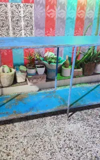 قفسه ای میوه فروشی