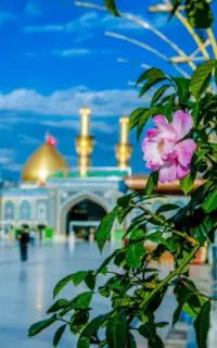 سلام بر حسین (ع)