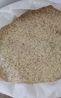 برنج، نخود، لوبیا، عدس